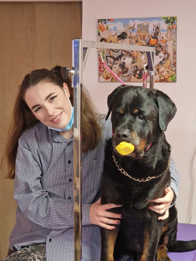 Dog 7